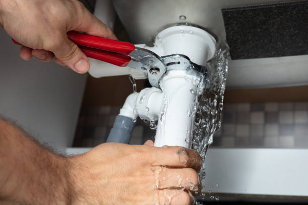 Best 24-hour water damage restoration  in Lakemoor, IL