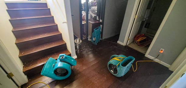 Best 24/7 water damage repair  in Lakemoor, IL