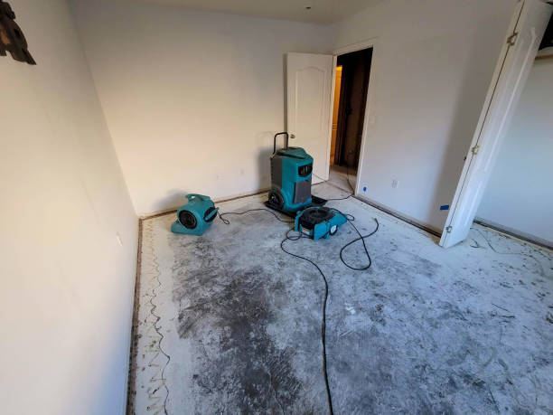 Best Emergency water damage restoration  in Lakemoor, IL