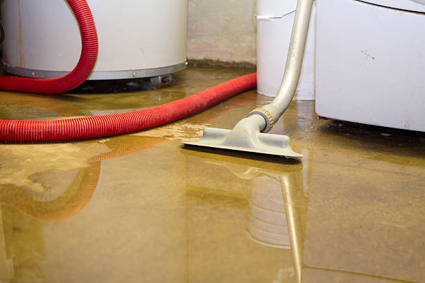 Best Water damage restoration process  in Lakemoor, IL