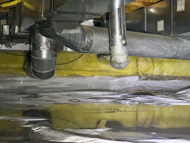 Best Ceiling water damage repair  in Lakemoor, IL