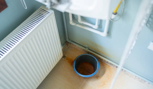 Best Flooded house restoration  in Lakemoor, IL