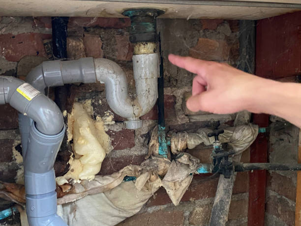 Best Professional water damage repair  in Lakemoor, IL