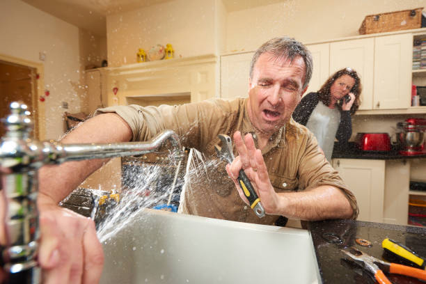 Best Flood restoration services  in Lakemoor, IL